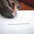 Loan Notes Explained